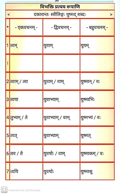 दकारान्त स्त्रीलिंग " युष्मद् " शब्द