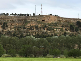 Naturaleza verde o el milagro de la lluvia