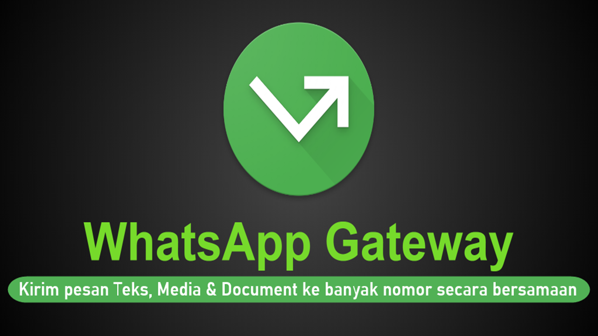 Source Code Whatsapp Gateway WASender