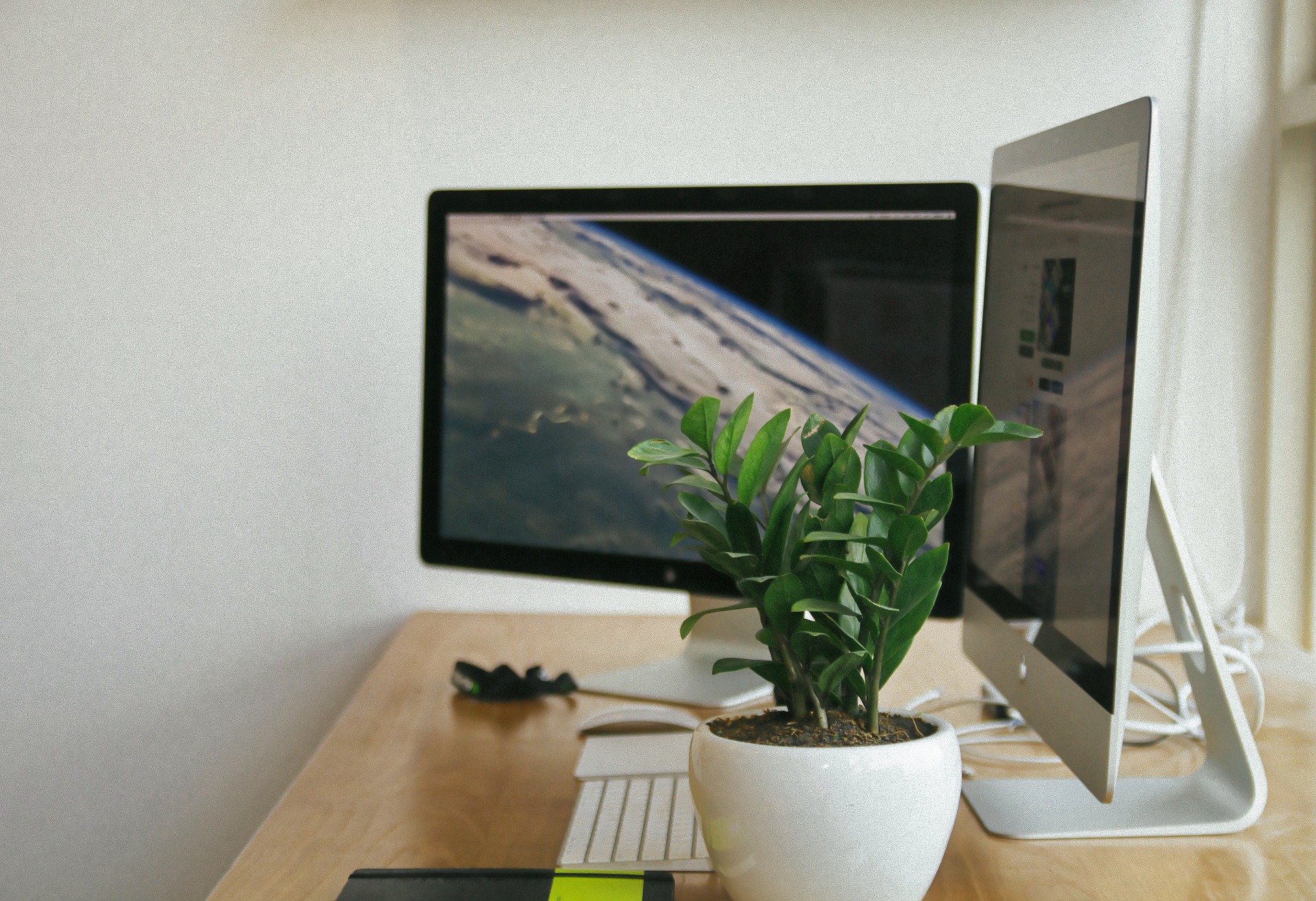 Beautiful Apple Monitor kept with a plant beside techronicle