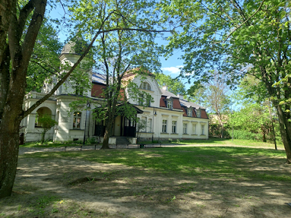 Obraz