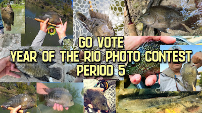 Rio Grande Cichlid, Texas Cichlid, Cichlid on the Fly, Fly Fishing for Rio Grande Cichlid, Texas Fly Fishing, Fly Fishing Texas, Year of the Rio, YOTRio2021