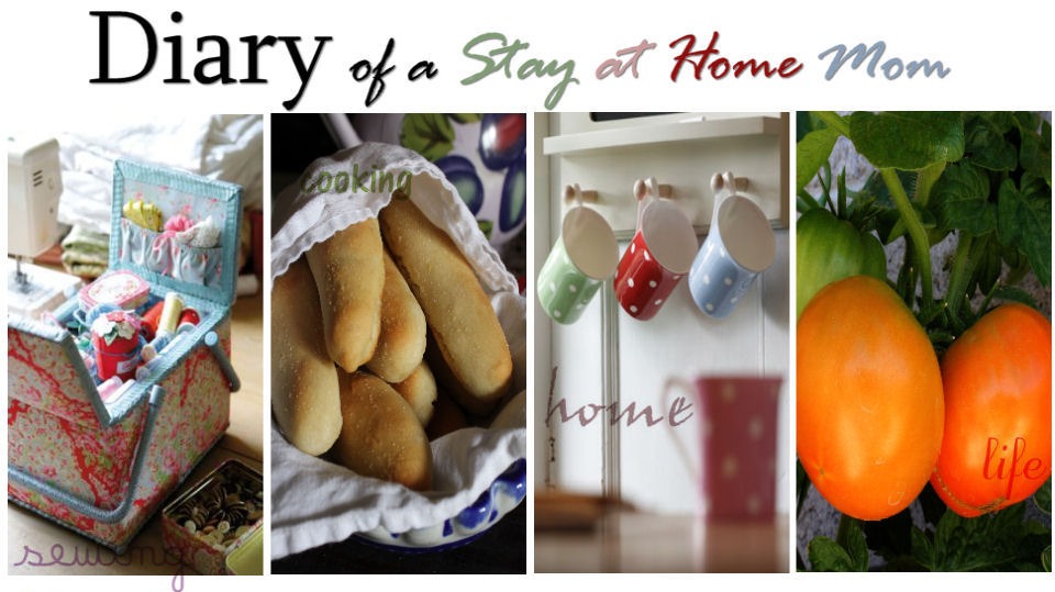 Diary of a Stay at Home Mom