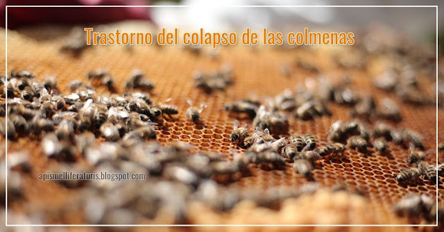 Cómo proteger las colonias de abejas