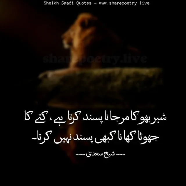 Lion Quotes In urdu Sheikh Saadi images 2024