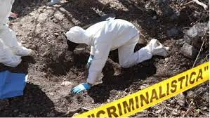 Localizan 30 bolsas con restos humanos en terreno baldío de México
