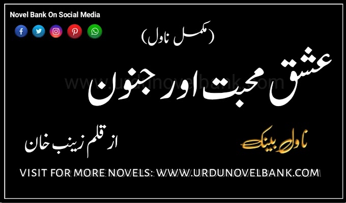 Ishq Mohabbat Aur Junoon by Zainab Khan Complete Pdf Novel