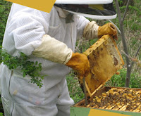 Beekeeping Suits