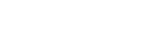 Bizy-Solution