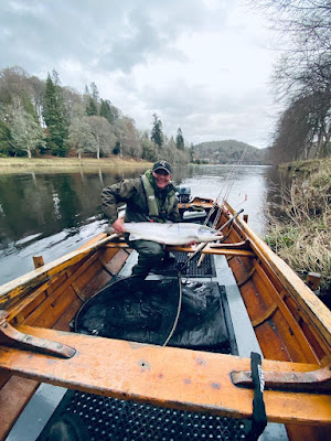 Spring Salmon Fishing