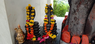 pitra parvat, pitra parvat indore, pitra parvat indore images, pitra parvat images, pitra parvat indore photos, pitra parvat photos, pitra parvat indore pics, pitra parvat pics, pitra parvat indore pictures, pitra parvat pictures, pitra parvat indore wallpaper, pitra parvat wallpaper, pitra parvat indore madhya pradesh, pitra parvat indore madhya pradesh images, pitra parvat indore madhya pradesh photos, pitra parvat indore madhya pradesh pics, pitra parvat indore madhya pradesh pictures, pitra parvat indore madhya pradesh wallpaper, pitra parvat mandir, pitra parvat mandir indore, pitra parvat mandir indore images, pitra parvat mandir images, pitra parvat mandir indore photos, pitra parvat mandir photos, pitra parvat mandir indore pics, pitra parvat mandir pics, pitra parvat mandir indore pictures, pitra parvat mandir pictures, pitra parvat mandir indore wallpaper, pitra parvat mandir wallpaper, pitra parvat mandir indore madhya pradesh, pitra parvat mandir indore madhya pradesh images, pitra parvat mandir indore madhya pradesh photos, pitra parvat mandir indore madhya pradesh pics, pitra parvat mandir indore madhya pradesh pictures, pitra parvat mandir indore madhya pradesh wallpaper, pitra parvat temple, pitra parvat temple indore, pitra parvat temple indore images, pitra parvat temple images, pitra parvat temple indore photos, pitra parvat temple photos, pitra parvat temple indore pics, pitra parvat temple pics, pitra parvat temple indore pictures, pitra parvat temple pictures, pitra parvat temple indore wallpaper, pitra parvat temple wallpaper, pitra parvat temple indore madhya pradesh, pitra parvat temple indore madhya pradesh images, pitra parvat temple indore madhya pradesh photos, pitra parvat temple indore madhya pradesh pics, pitra parvat temple indore madhya pradesh pictures, pitra parvat temple indore madhya pradesh wallpaper, pitra parvat hanuman mandir, pitra parvat hanuman mandir indore, pitra parvat hanuman mandir indore images, pitra parvat hanuman mandir images, pitra parvat hanuman mandir indore photos, pitra parvat hanuman mandir photos, pitra parvat hanuman mandir indore pics, pitra parvat hanuman mandir pics, pitra parvat hanuman mandir indore pictures, pitra parvat hanuman mandir pictures, pitra parvat hanuman mandir indore wallpaper, pitra parvat hanuman mandir wallpaper, pitra parvat hanuman mandir indore madhya pradesh, pitra parvat hanuman mandir indore madhya pradesh images, pitra parvat hanuman mandir indore madhya pradesh photos, pitra parvat hanuman mandir indore madhya pradesh pics, pitra parvat hanuman mandir indore madhya pradesh pictures, pitra parvat hanuman mandir indore madhya pradesh wallpaper, pitra parvat hanuman temple, pitra parvat hanuman temple indore, pitra parvat hanuman temple indore images, pitra parvat hanuman temple images, pitra parvat hanuman temple indore photos, pitra parvat hanuman temple photos, pitra parvat hanuman temple indore pics, pitra parvat hanuman temple pics, pitra parvat hanuman temple indore pictures, pitra parvat hanuman temple pictures, pitra parvat hanuman temple indore wallpaper, pitra parvat hanuman temple wallpaper, pitra parvat hanuman temple indore madhya pradesh, pitra parvat hanuman temple indore madhya pradesh images, pitra parvat hanuman temple indore madhya pradesh photos, pitra parvat hanuman temple indore madhya pradesh pics, pitra parvat hanuman temple indore madhya pradesh pictures, pitra parvat hanuman temple indore madhya pradesh wallpaper, pitreshwar, pitreshwar indore, pitreshwar indore images, pitreshwar images, pitreshwar indore photos, pitreshwar photos, pitreshwar indore pics, pitreshwar pics, pitreshwar indore pictures, pitreshwar pictures, pitreshwar indore wallpaper, pitreshwar wallpaper, pitreshwar indore madhya pradesh, pitreshwar indore madhya pradesh images, pitreshwar indore madhya pradesh photos, pitreshwar indore madhya pradesh pics, pitreshwar indore madhya pradesh pictures, pitreshwar indore madhya pradesh wallpaper, pitreshwar parvat, pitreshwar parvat indore, pitreshwar parvat indore images, pitreshwar parvat images, pitreshwar parvat indore photos, pitreshwar parvat photos, pitreshwar parvat indore pics, pitreshwar parvat pics, pitreshwar parvat indore pictures, pitreshwar parvat pictures, pitreshwar parvat indore wallpaper, pitreshwar parvat wallpaper, pitreshwar parvat indore madhya pradesh, pitreshwar parvat indore madhya pradesh images, pitreshwar parvat indore madhya pradesh photos, pitreshwar parvat indore madhya pradesh pics, pitreshwar parvat indore madhya pradesh pictures, pitreshwar parvat indore madhya pradesh wallpaper, pitreshwar mandir, pitreshwar mandir indore, pitreshwar mandir indore images, pitreshwar mandir images, pitreshwar mandir indore photos, pitreshwar mandir photos, pitreshwar mandir indore pics, pitreshwar mandir pics, pitreshwar mandir indore pictures, pitreshwar mandir pictures, pitreshwar mandir indore wallpaper, pitreshwar mandir wallpaper, pitreshwar mandir indore madhya pradesh, pitreshwar mandir indore madhya pradesh images, pitreshwar mandir indore madhya pradesh photos, pitreshwar mandir indore madhya pradesh pics, pitreshwar mandir indore madhya pradesh pictures, pitreshwar mandir indore madhya pradesh wallpaper, pitreshwar temple, pitreshwar temple indore, pitreshwar temple indore images, pitreshwar temple images, pitreshwar temple indore photos, pitreshwar temple photos, pitreshwar temple indore pics, pitreshwar temple pics, pitreshwar temple indore pictures, pitreshwar temple pictures, pitreshwar temple indore wallpaper, pitreshwar temple wallpaper, pitreshwar temple indore madhya pradesh, pitreshwar temple indore madhya pradesh images, pitreshwar temple indore madhya pradesh photos, pitreshwar temple indore madhya pradesh pics, pitreshwar temple indore madhya pradesh pictures, pitreshwar temple indore madhya pradesh wallpaper, pitreshwar parvat mandir, pitreshwar parvat mandir indore, pitreshwar parvat mandir indore images, pitreshwar parvat mandir images, pitreshwar parvat mandir indore photos, pitreshwar parvat mandir photos, pitreshwar parvat mandir indore pics, pitreshwar parvat mandir pics, pitreshwar parvat mandir indore pictures, pitreshwar parvat mandir pictures, pitreshwar parvat mandir indore wallpaper, pitreshwar parvat mandir wallpaper, pitreshwar parvat mandir indore madhya pradesh, pitreshwar parvat mandir indore madhya pradesh images, pitreshwar parvat mandir indore madhya pradesh photos, pitreshwar parvat mandir indore madhya pradesh pics, pitreshwar parvat mandir indore madhya pradesh pictures, pitreshwar parvat mandir indore madhya pradesh wallpaper, pitreshwar parvat temple, pitreshwar parvat temple indore, pitreshwar parvat temple indore images, pitreshwar parvat temple images, pitreshwar parvat temple indore photos, pitreshwar parvat temple photos, pitreshwar parvat temple indore pics, pitreshwar parvat temple pics, pitreshwar parvat temple indore pictures, pitreshwar parvat temple pictures, pitreshwar parvat temple indore wallpaper, pitreshwar parvat temple wallpaper, pitreshwar parvat temple indore madhya pradesh, pitreshwar parvat temple indore madhya pradesh images, pitreshwar parvat temple indore madhya pradesh photos, pitreshwar parvat temple indore madhya pradesh pics, pitreshwar parvat temple indore madhya pradesh pictures, pitreshwar parvat temple indore madhya pradesh wallpaper, pitreshwar hanuman mandir, pitreshwar hanuman mandir indore, pitreshwar hanuman mandir indore images, pitreshwar hanuman mandir images, pitreshwar hanuman mandir indore photos, pitreshwar hanuman mandir photos, pitreshwar hanuman mandir indore pics, pitreshwar hanuman mandir pics, pitreshwar hanuman mandir indore pictures, pitreshwar hanuman mandir pictures, pitreshwar hanuman mandir indore wallpaper, pitreshwar hanuman mandir wallpaper, pitreshwar hanuman mandir indore madhya pradesh, pitreshwar hanuman mandir indore madhya pradesh images, pitreshwar hanuman mandir indore madhya pradesh photos, pitreshwar hanuman mandir indore madhya pradesh pics, pitreshwar hanuman mandir indore madhya pradesh pictures, pitreshwar hanuman mandir indore madhya pradesh wallpaper, pitreshwar hanuman temple, pitreshwar hanuman temple indore, pitreshwar hanuman temple indore images, pitreshwar hanuman temple images, pitreshwar hanuman temple indore photos, pitreshwar hanuman temple photos, pitreshwar hanuman temple indore pics, pitreshwar hanuman temple pics, pitreshwar hanuman temple indore pictures, pitreshwar hanuman temple pictures, pitreshwar hanuman temple indore wallpaper, pitreshwar hanuman temple wallpaper, pitreshwar hanuman temple indore madhya pradesh, pitreshwar hanuman temple indore madhya pradesh images, pitreshwar hanuman temple indore madhya pradesh photos, pitreshwar hanuman temple indore madhya pradesh pics, pitreshwar hanuman temple indore madhya pradesh pictures, pitreshwar hanuman temple indore madhya pradesh wallpaper