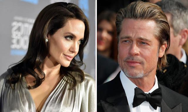 Brad Pitt Sues Ex Angelina Jolie Over Joint Winery