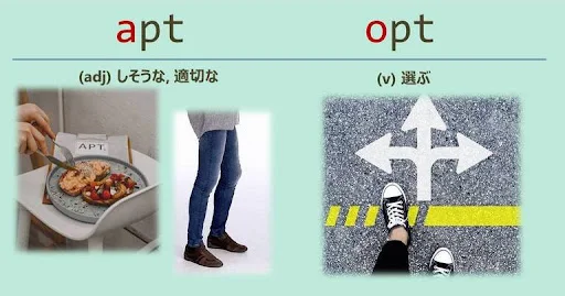 apt, opt, スペルが似ている英単語