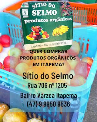 produtos orgânicos em Itapema