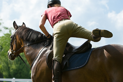 Biblical Meaning of Horses in Dreams