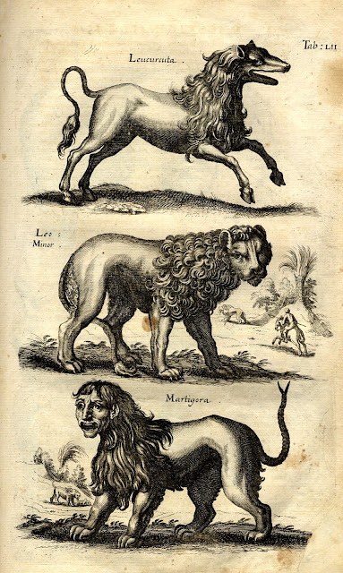 Jonston, Jan: Historiae Naturalis De Quadrupedibus Libri