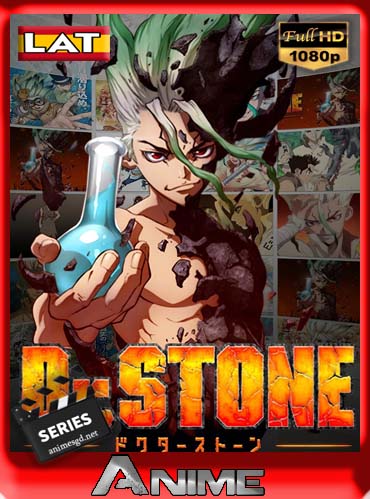 Dr Stone [24/24] [BD] Latino HD [1080P] [GoogleDrive] DizonHD