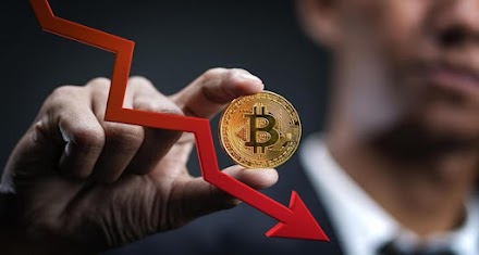 How to You can Avoid Loss in the Crypto Market