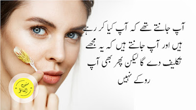 Relationship quotes in urdu