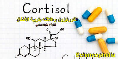 الكورتيزول وعلاقته بتربية الأطفال - ساينسوفيليا