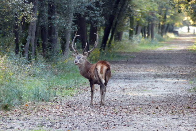 delta del po escursioni a piedi passeggiate