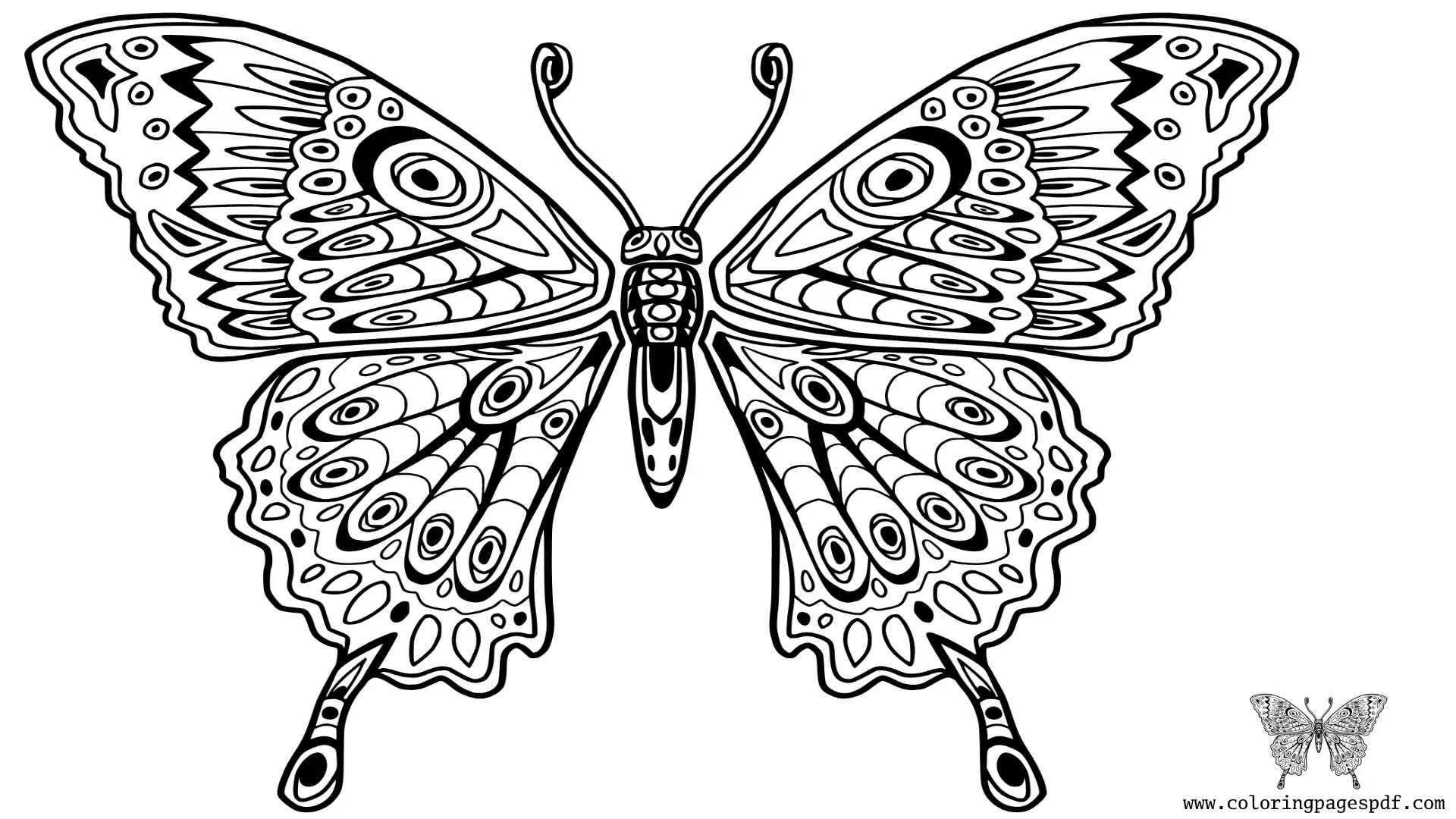 20 Butterfly Coloring Pages For Kids
