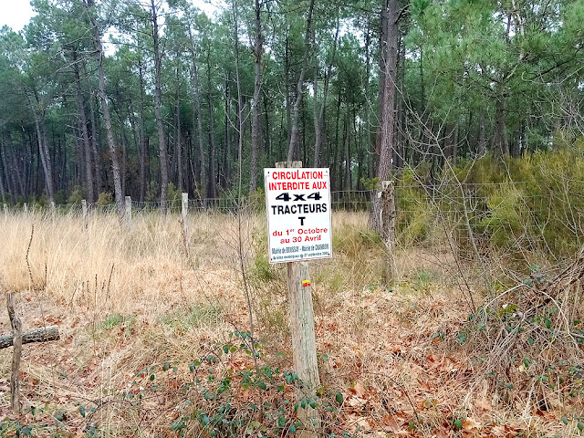 Sign forbidding heavy machinery on a forest trail, Indre et Loire, France. Photo by Loire Valley Time Travel.