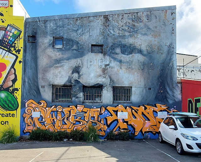 Redfern Street Art by Guido Van Helten