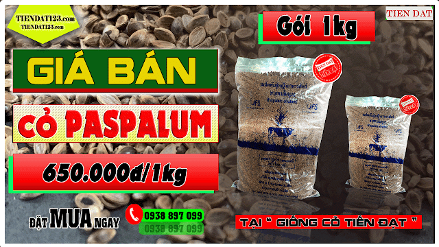 Giá cỏ paspalum - Loại cỏ ngập nước gói trọng lượng 1kg