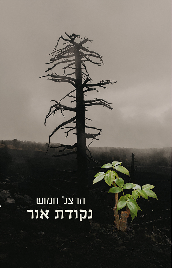תמונה