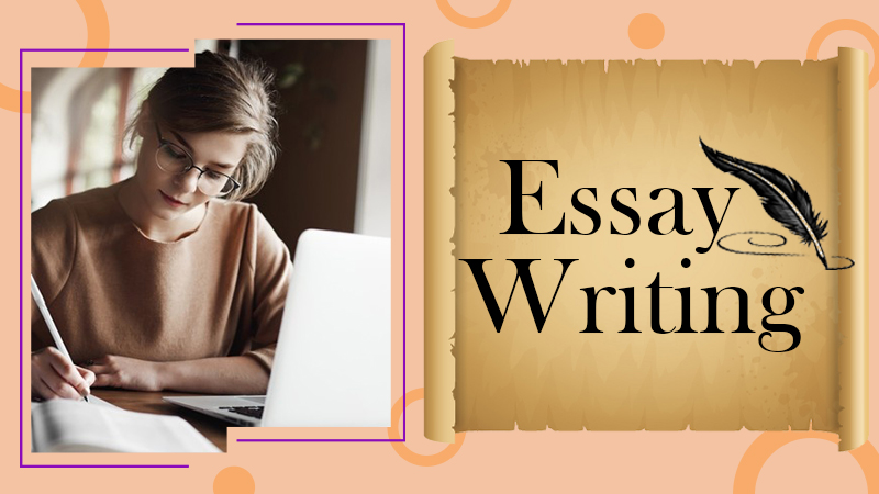 THE BEGINNER’S GUIDE TO WRITING AN ESSAY