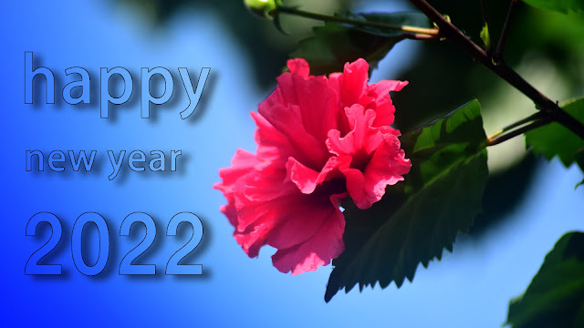 Happy New Year 2022 to greeting, WhatsApp, Pinterest, Facebook, Twitter, greeting, wishes,