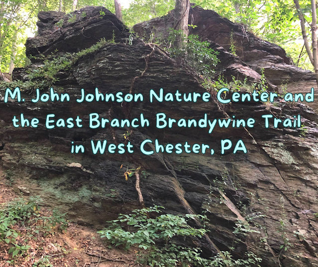 Wandering the Lands of M. John Johnson Nature Center and the East Branch Brandywine Trail in West Chester, PA