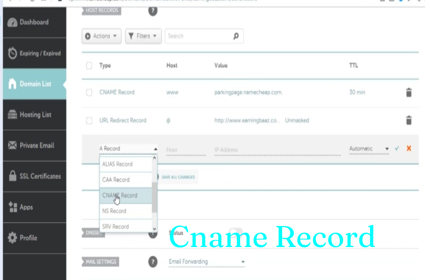 First we have to select a CNAME Record by clicking on Add New Record.