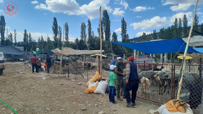 ​Bozkır Kurban Pazarında Üreticiler Arefe gününü bekliyor.