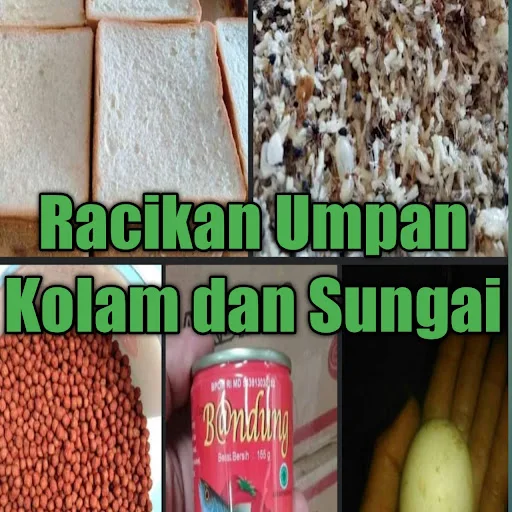 Racikan Umpan Roti Tawar dan Sarden - Campuran ke 2 umpan ini sering di gunakan untuk mancing kolam dan sungai, rata-rata target ikanya patin, terkadang mancing di kolam ikan mas juga mau makan umpan ini hanya saja untuk racikannya bukan hanya mengunakan roti tawar dan sarden saja masih ada campuran yang lainnya