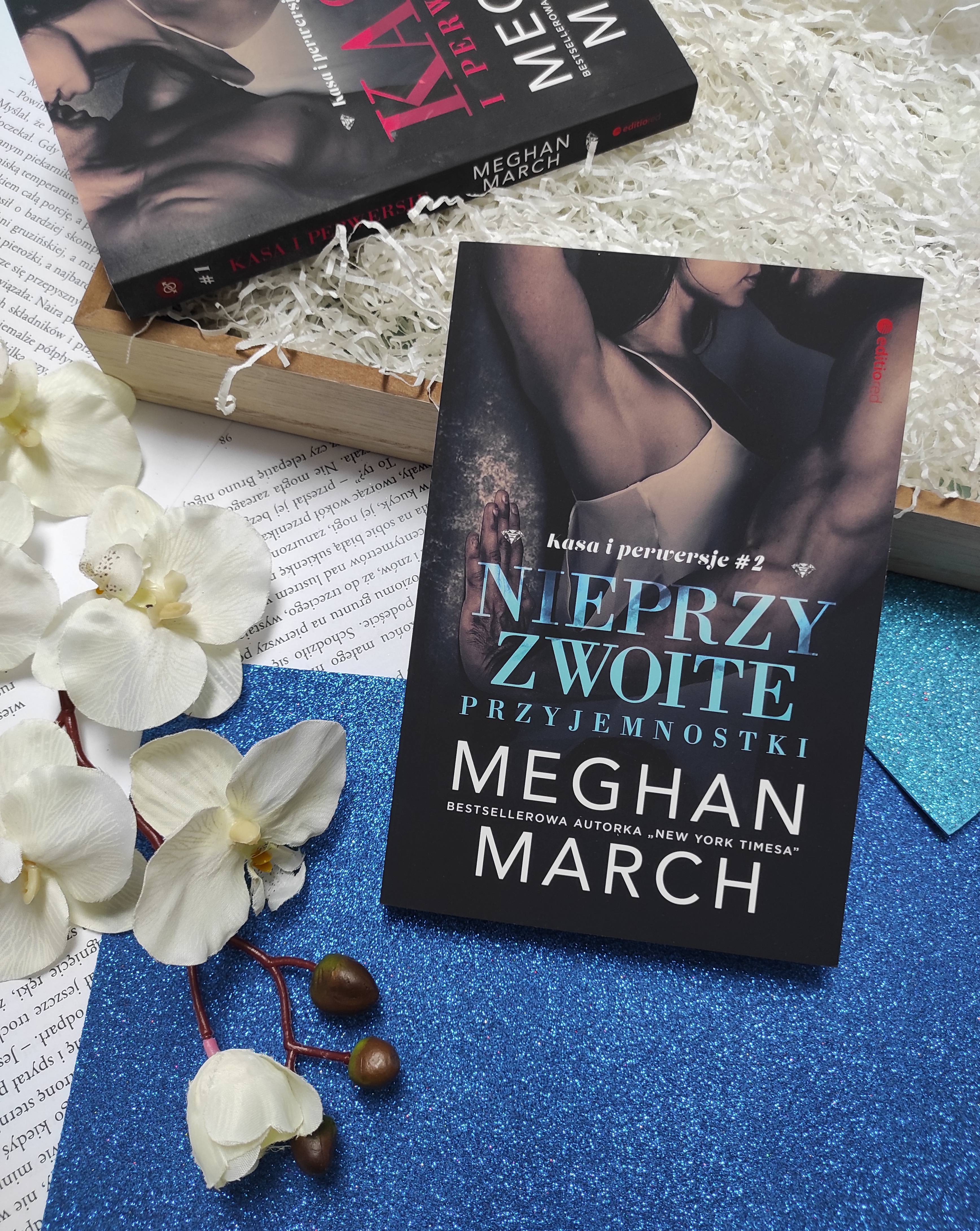 "Nieprzyzwoite przyjemnostki" Meghan March - recenzja