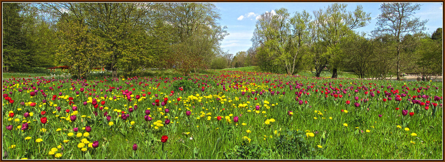                                                   Natur -Berlin