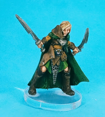 Female elf with two swords, dark green cloak, light green skirt and both leather and metal plates of armour