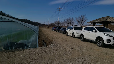 경북 고령 딸기체험 교육장-여왕딸기 주자여건