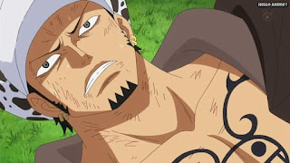 ワンピースアニメ ドレスローザ編 725話 トラファルガー・ロー トラ男 Trafalgar Law | ONE PIECE Episode 725