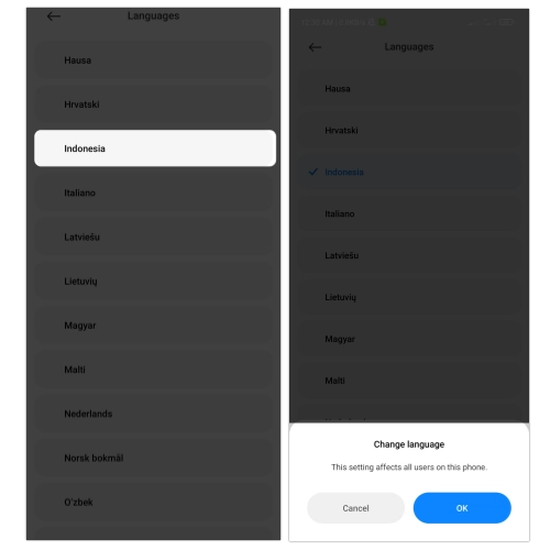 Cara mengganti bahasa inggris ke bahasa indonesia di xiaomi