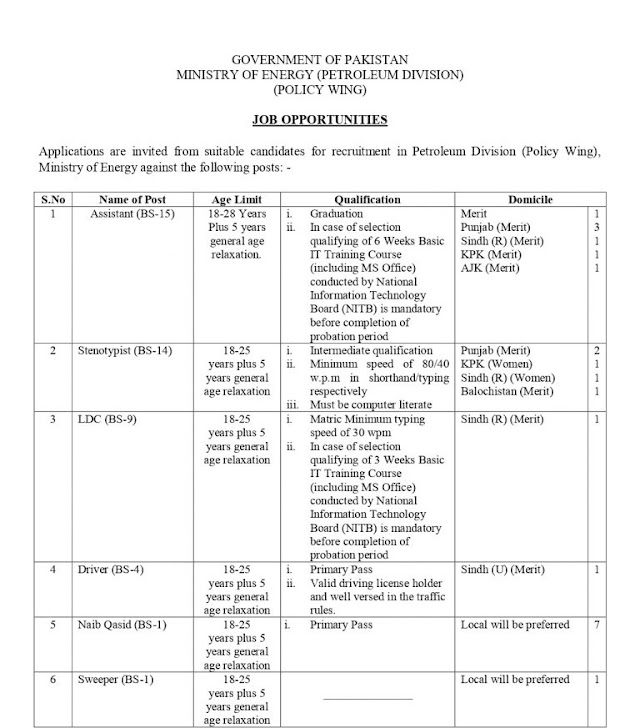  Pakistan Public Ministry of Energy job 2021