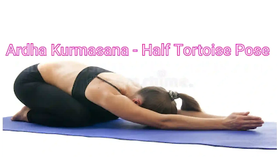 Ardha Kurmasana - Half Tortoise Pose