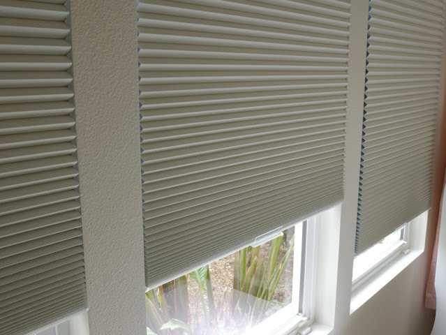 blinds in Double Bay