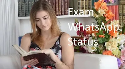 exam dp images for whatsapp, best exam dp for boy, cute exam dp for girl, exam dp funny for instagram, busy in exam dp for fb, cute exam dp for facebook, exam dp for girl funny, online exam dp, board exam dp for whatsapp, exam dp for whatsapp group