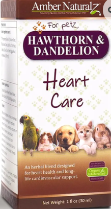 Heart Care for Pets
