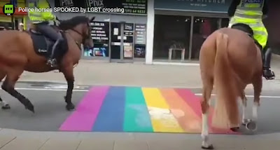 horses fearing rainbow crossing