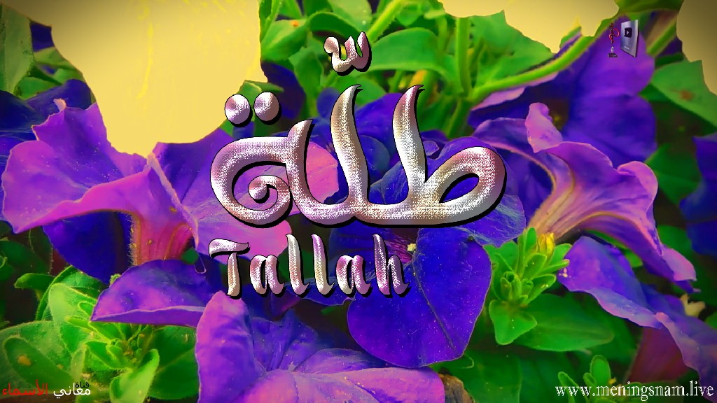 معنى اسم , طلة, وصفات, حاملة, هذا الاسم, Tallah,