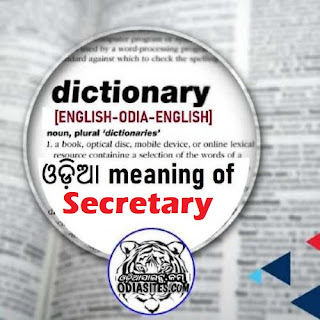 secretary-odia meaning